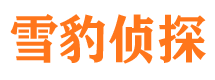 潜山找人公司